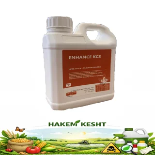 انهنس کی سی اس
